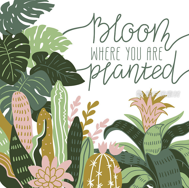 手绘野生热带室内植物。斯堪的纳维亚风格插画，家居装饰。矢量打印设计与terrarium和字母- 'bloom where you are栽'。